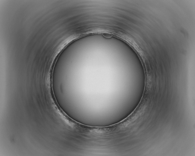 X0000112080898200908181239