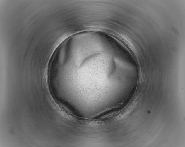 X0000112080899200908181239