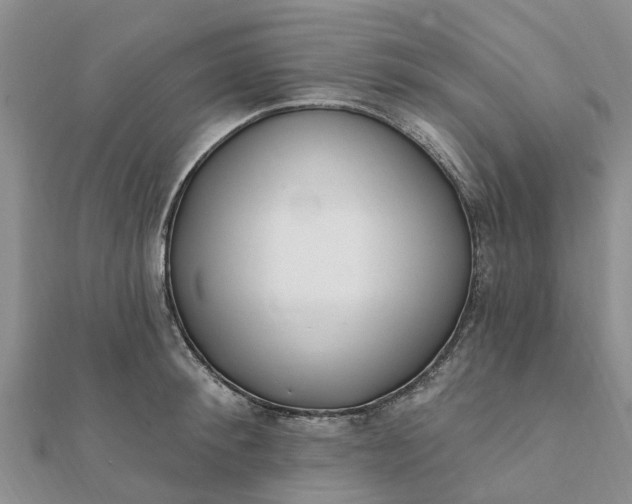 X0000112080900200908181239