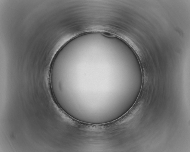 X0000112080901200908181239