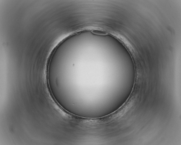 X0000112080902200908181239