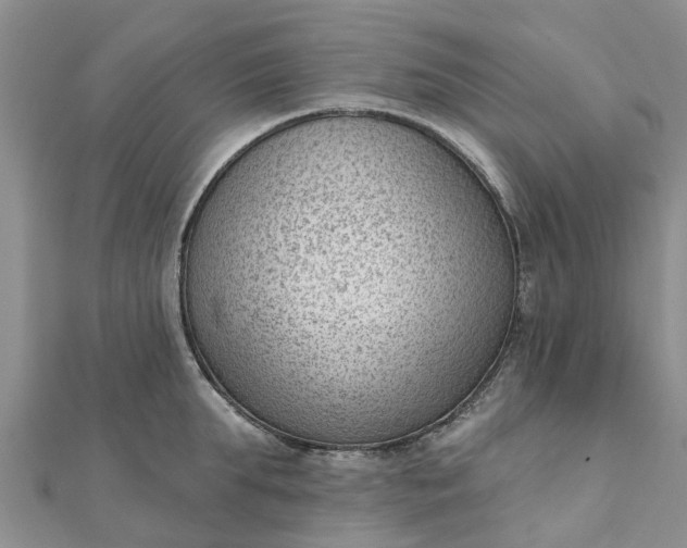 X0000112080903200908181239