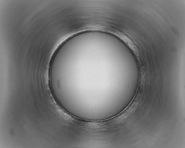 X0000112080904200908181239