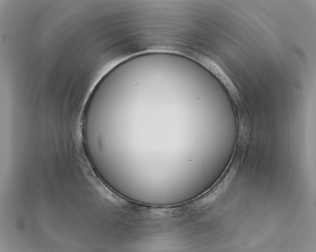 X0000112080908200908181239