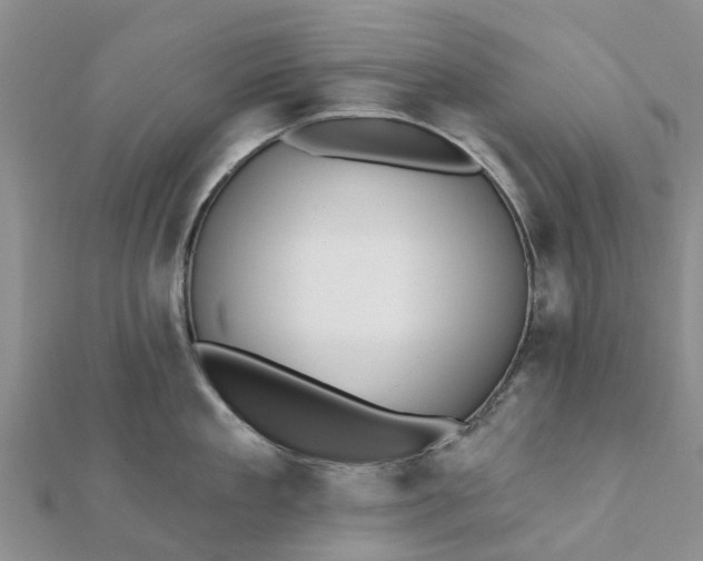 X0000112080909200908181239