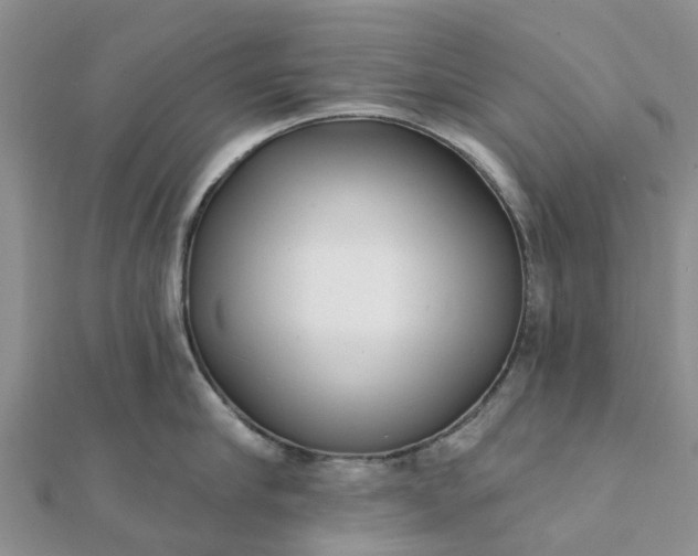 X0000112080910200908181239