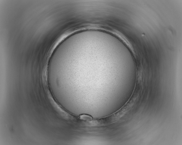 X0000112080911200908181239