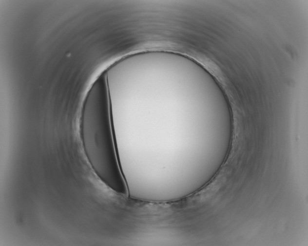 X0000112080912200908181239