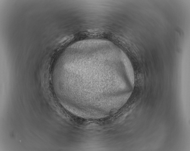 X0000112080913200908181238