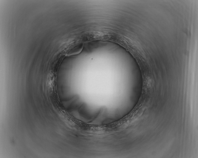 X0000112080914200908181238