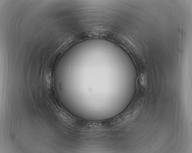 X0000112080915200908181238