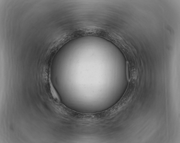 X0000112080916200908181238