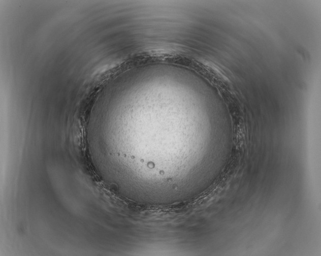 X0000112080917200908181238