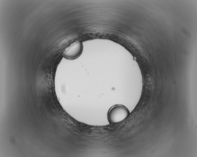 X0000112080918200908181238