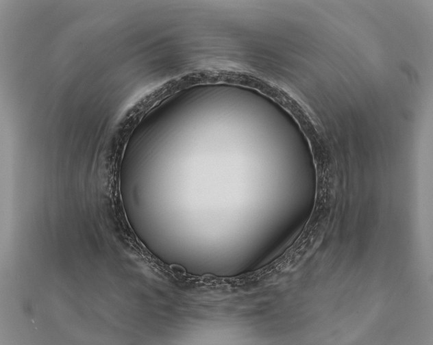 X0000112080919200908181238