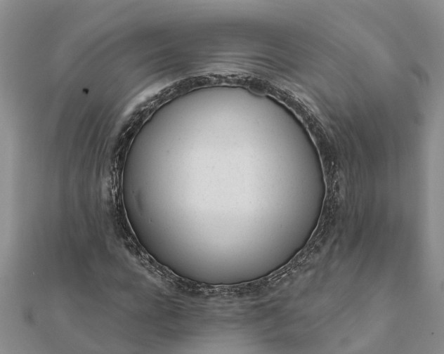 X0000112080920200908181238