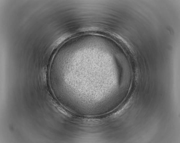 X0000112080921200908181238