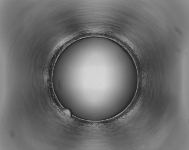 X0000112080922200908181238