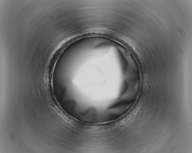 X0000112080923200908181238