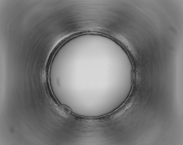 X0000112080924200908181238