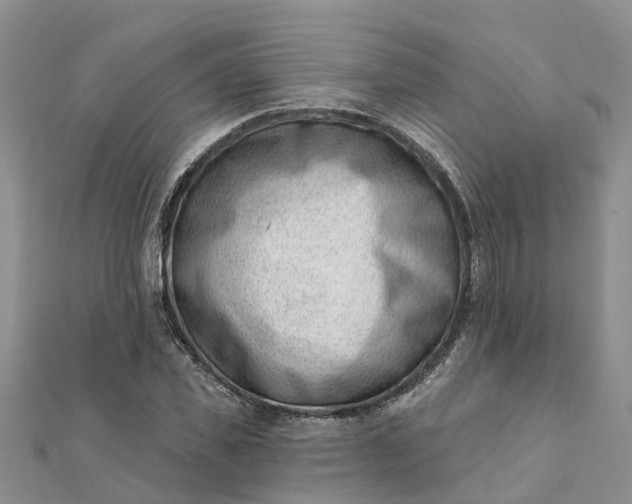 X0000112080925200908181238