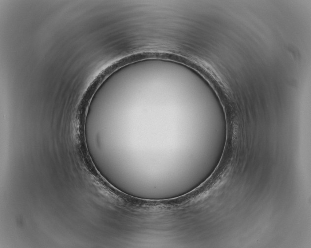 X0000112080926200908181238