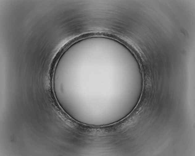 X0000112080927200908181238