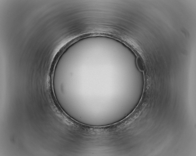 X0000112080928200908181238