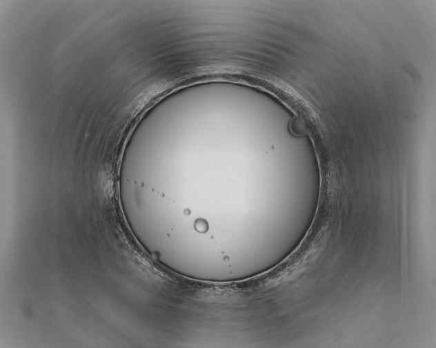 X0000112080929200908181238