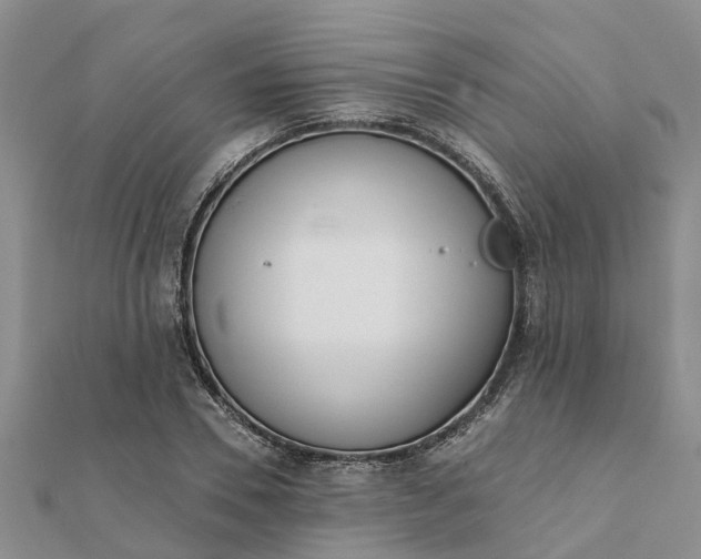 X0000112080930200908181238