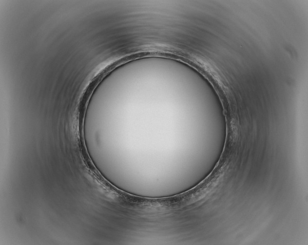 X0000112080931200908181238