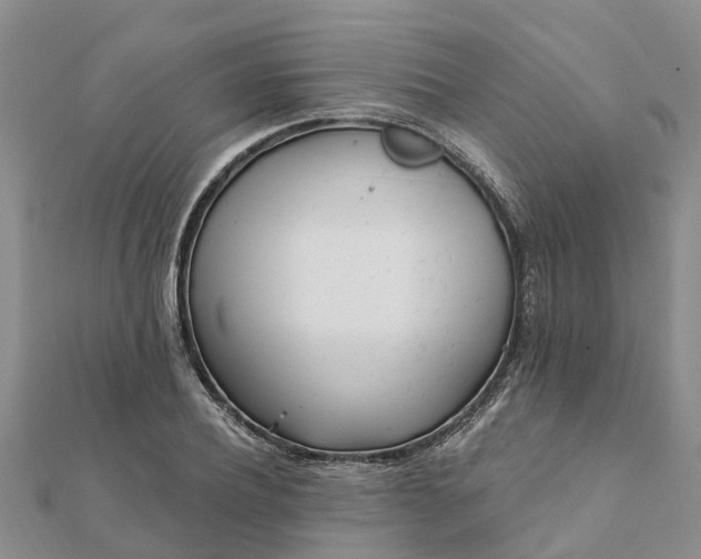 X0000112080932200908181238