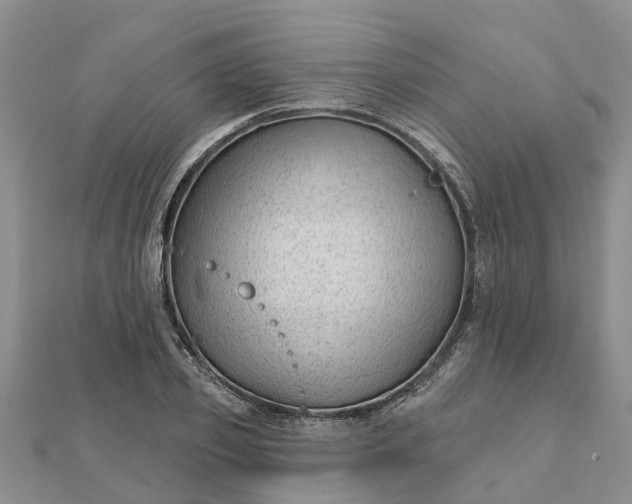 X0000112080933200908181238