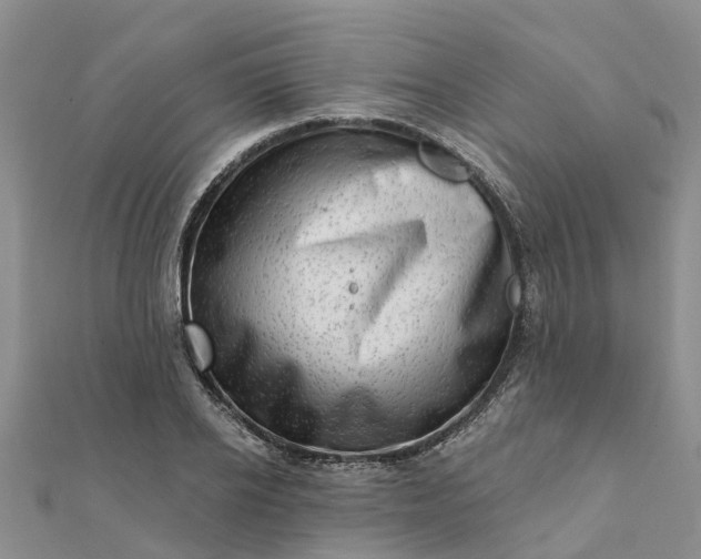 X0000112080934200908181238