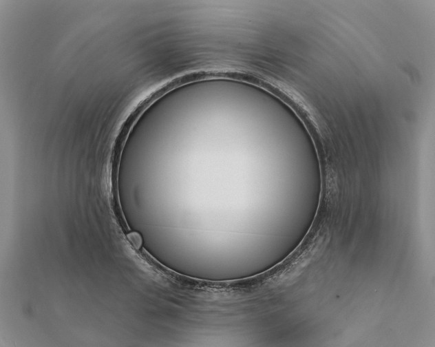 X0000112080935200908181238