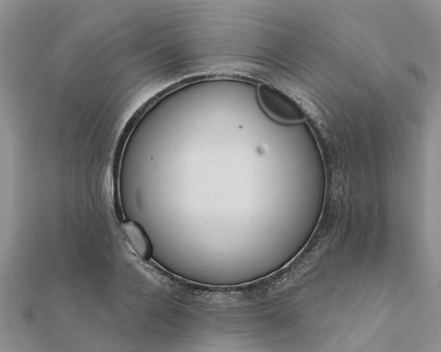 X0000112080936200908181238