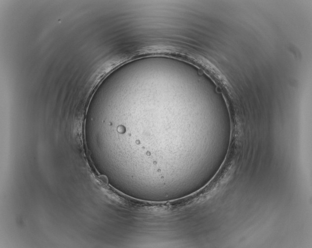 X0000112080937200908181238