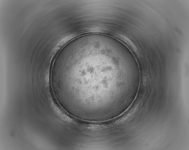 X0000112080938200908181239