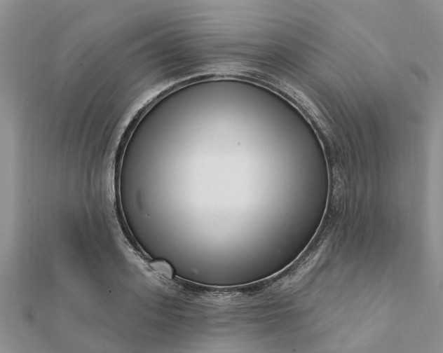 X0000112080939200908181239