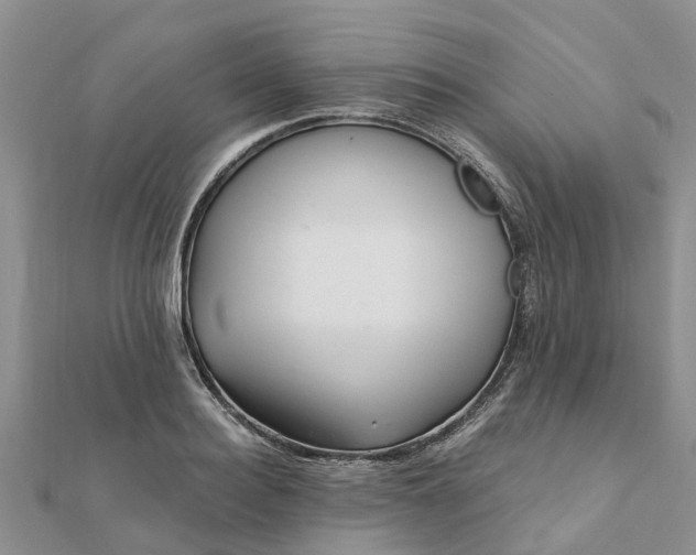 X0000112080940200908181239