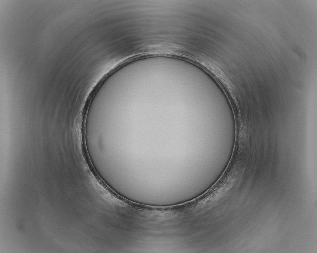 X0000112080941200908181239