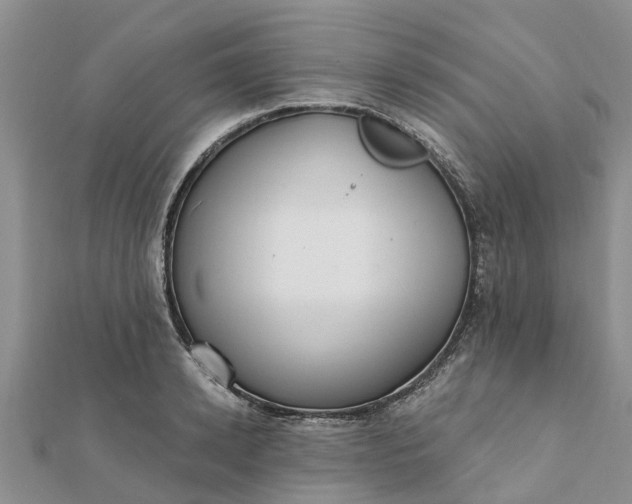 X0000112080942200908181239