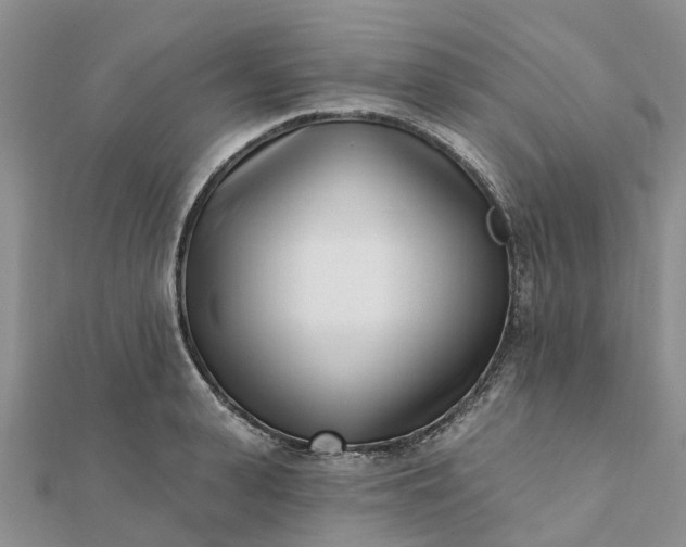 X0000112080943200908181239