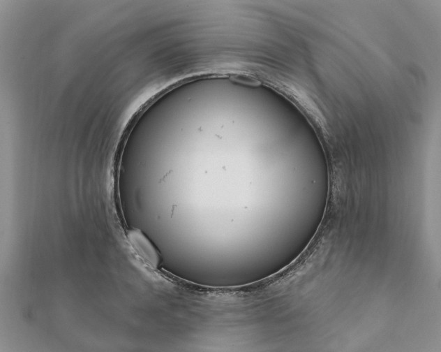 X0000112080944200908181239