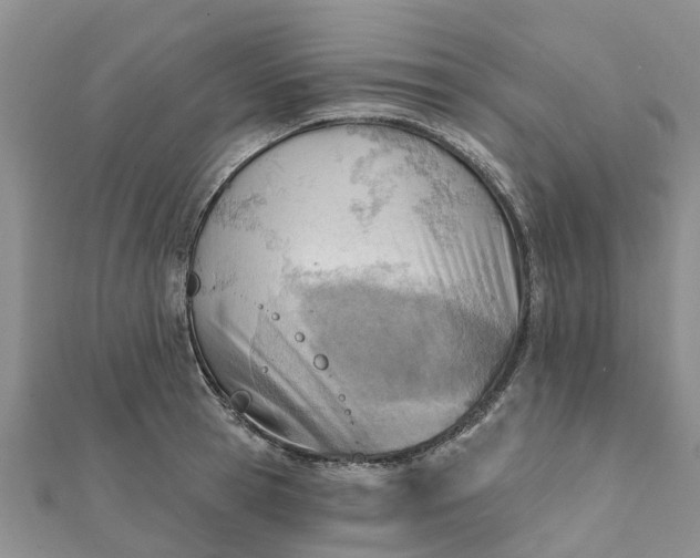 X0000112080945200908181239