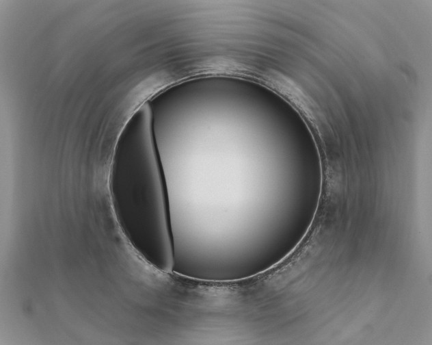 X0000112080946200908181239