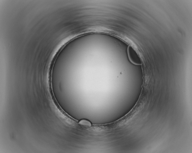 X0000112080947200908181239