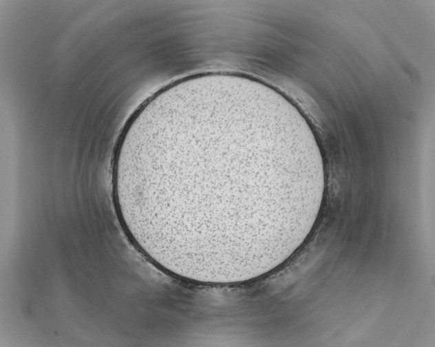 X0000112080950200908181239