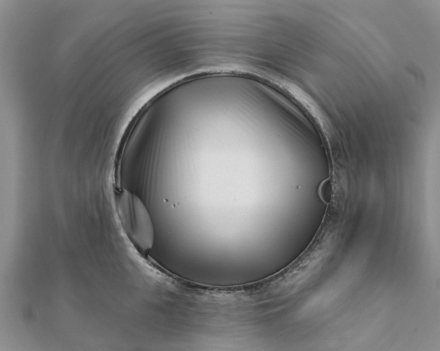 X0000112080951200908181239