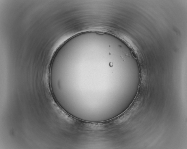 X0000112080952200908181239